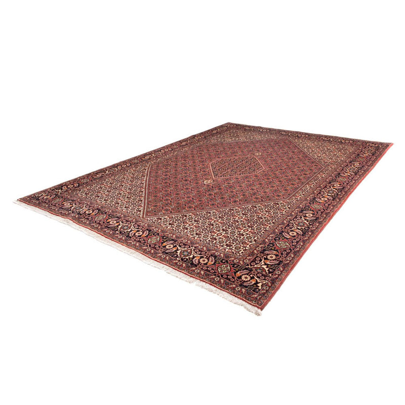 Tapis persan - Bidjar - 338 x 248 cm - marron