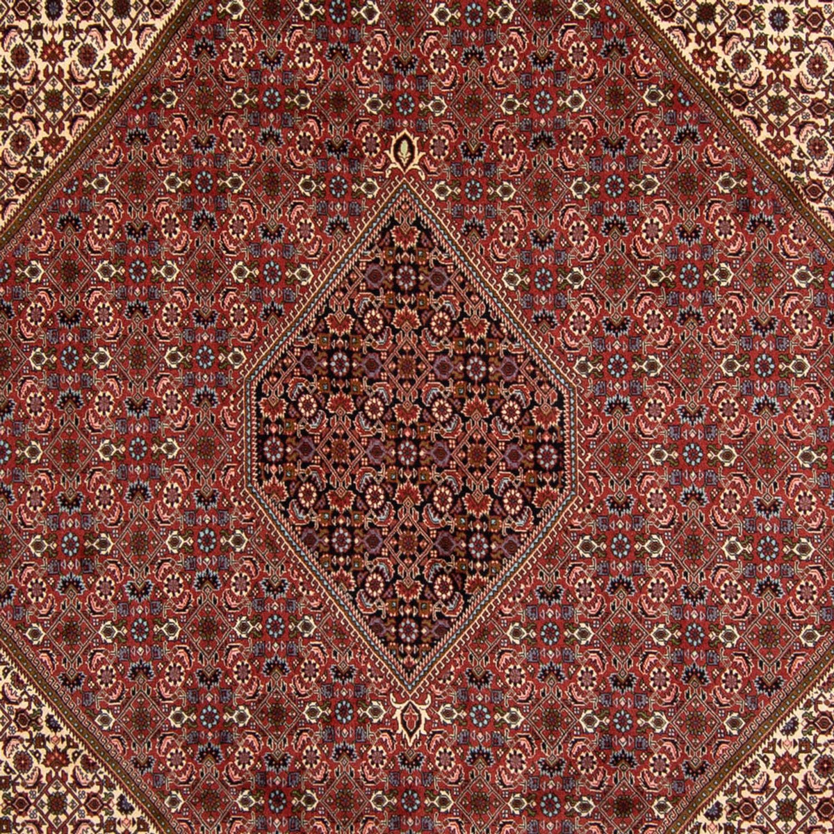 Tapis persan - Bidjar - 340 x 252 cm - marron