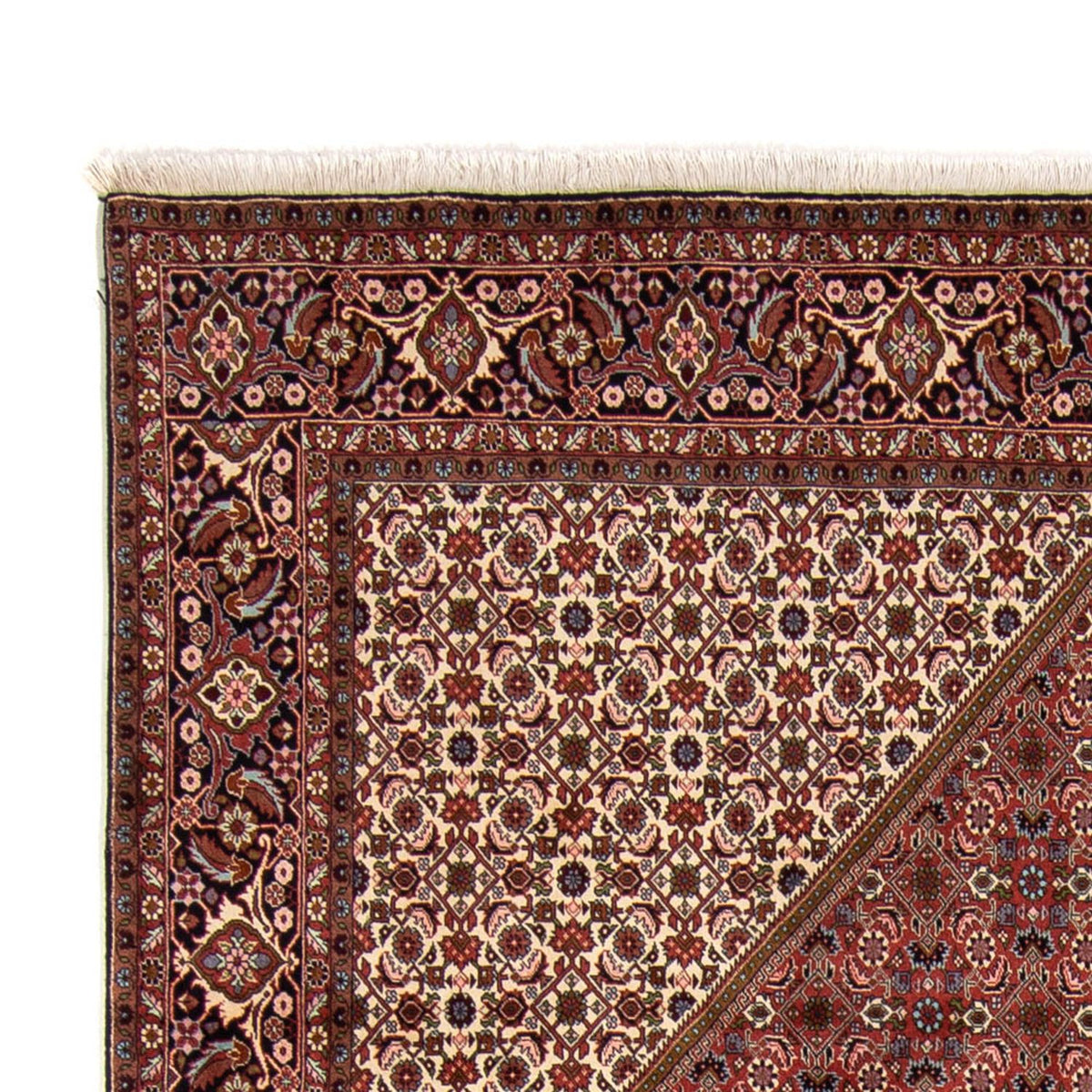 Tapis persan - Bidjar - 340 x 252 cm - marron
