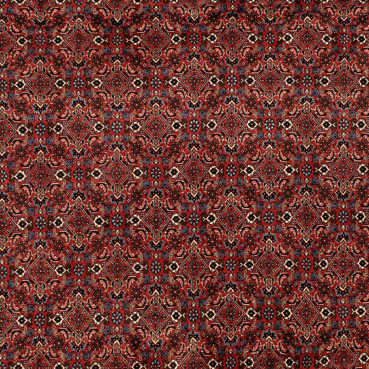 Tapis persan - Bidjar - 284 x 200 cm - rouge foncé