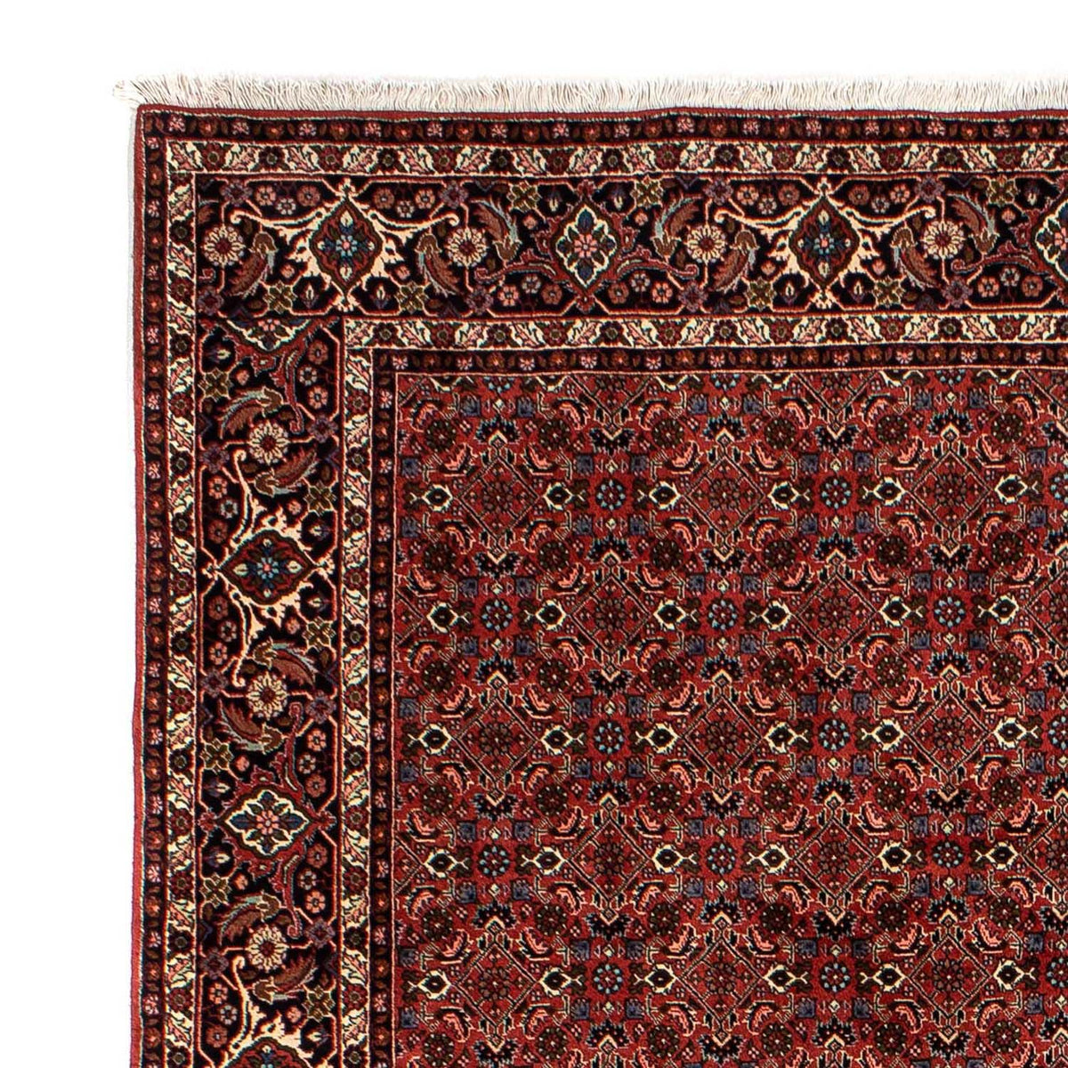 Tapis persan - Bidjar - 284 x 200 cm - rouge foncé