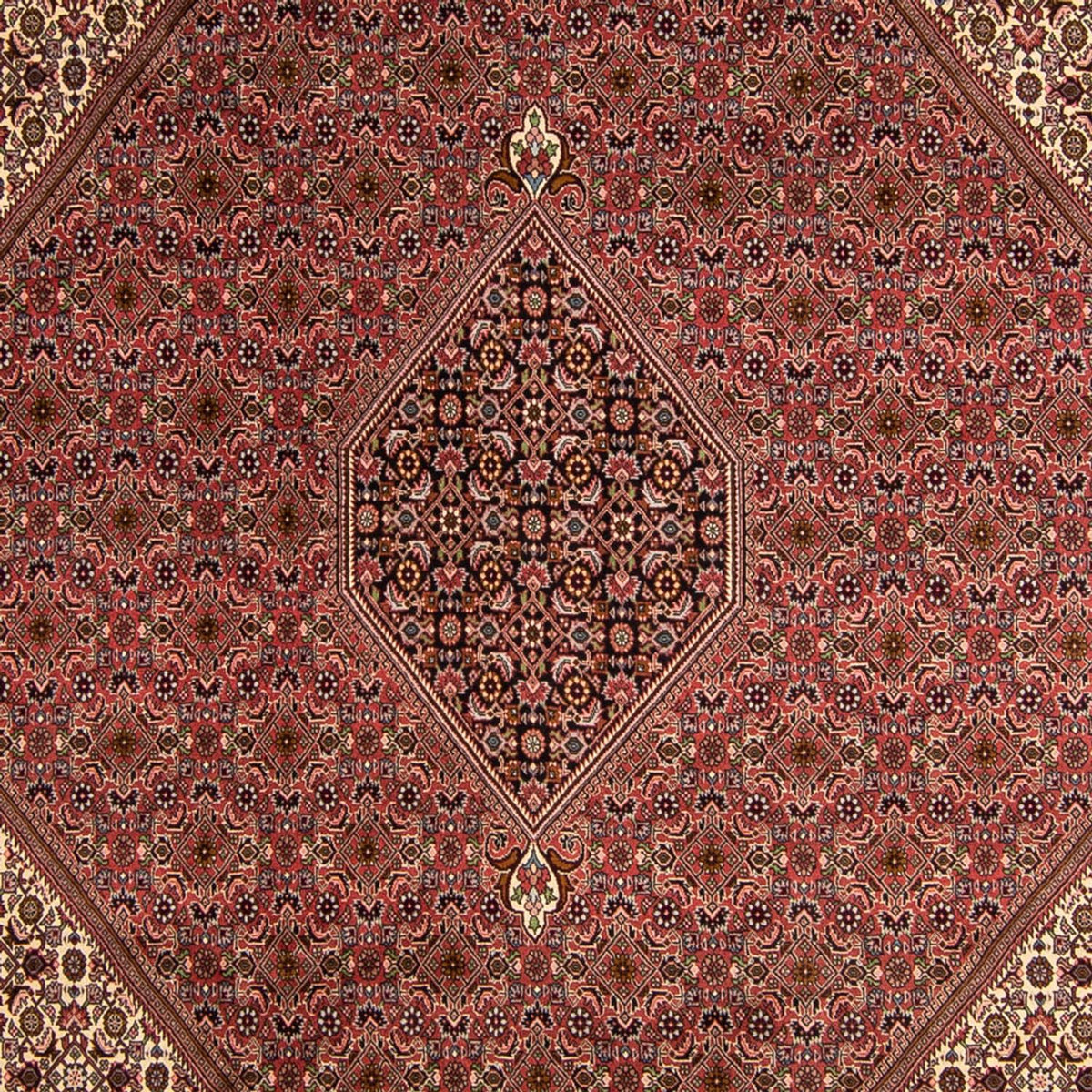 Tapis persan - Bidjar - 350 x 245 cm - marron