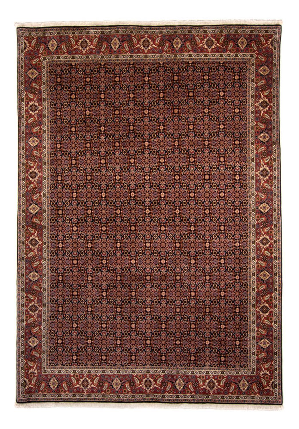 Tapis persan - Bidjar - 345 x 245 cm - marron