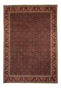 Tapis persan - Bidjar - 345 x 245 cm - marron
