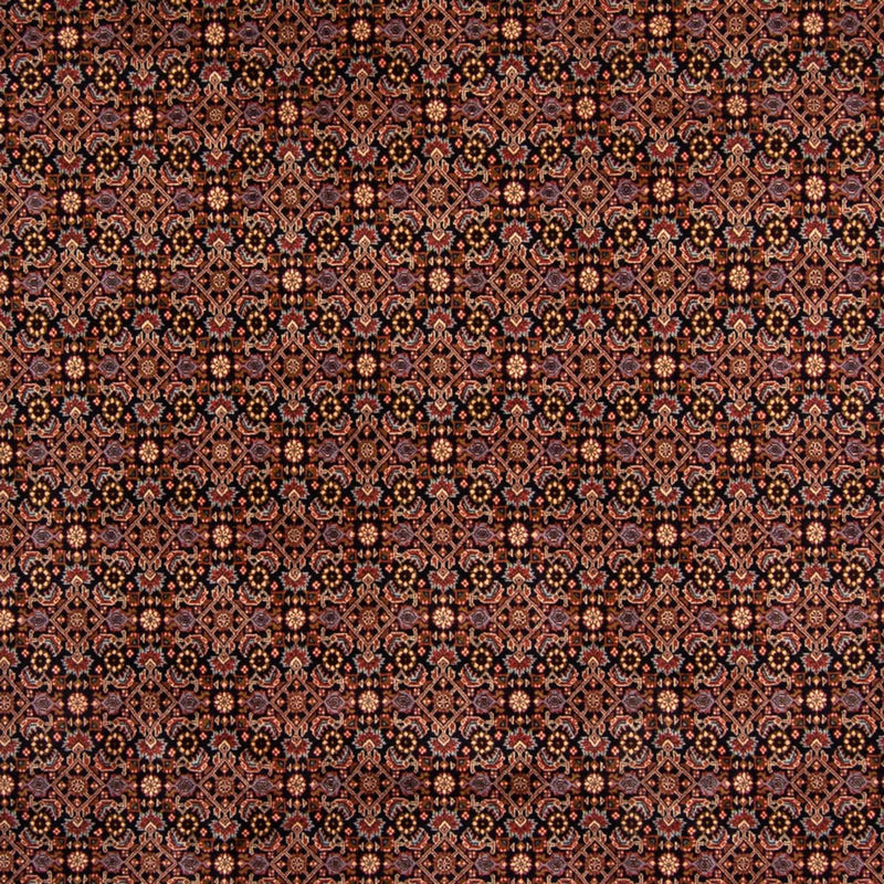 Tapis persan - Bidjar - 345 x 245 cm - marron