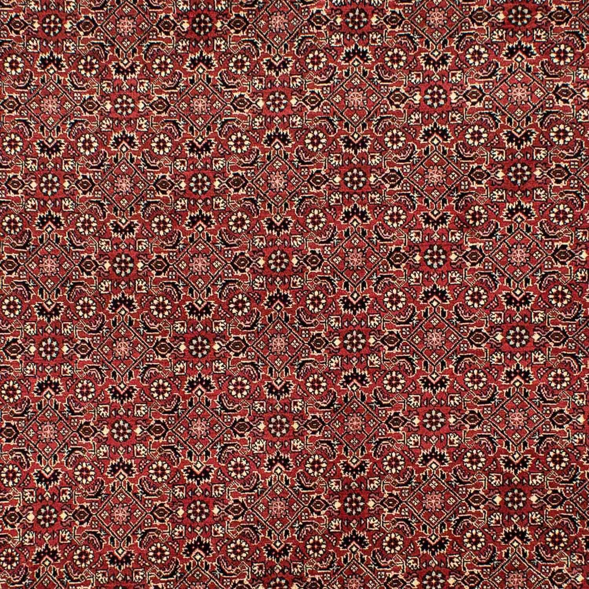 Tapis persan - Bidjar - 305 x 198 cm - rouge foncé