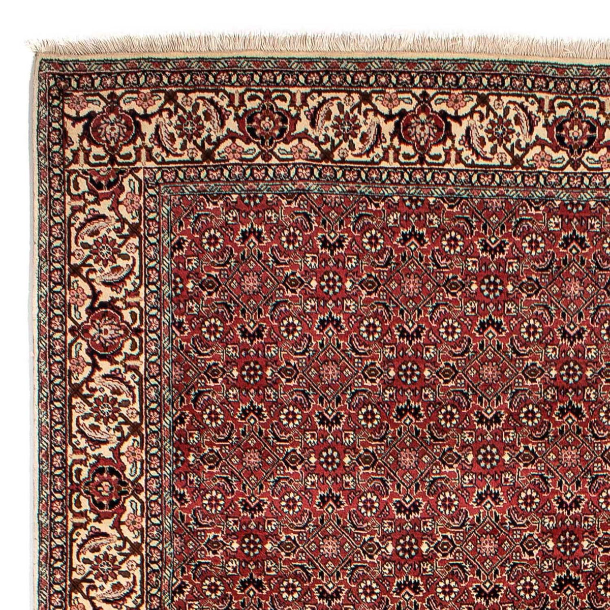 Tapis persan - Bidjar - 305 x 198 cm - rouge foncé