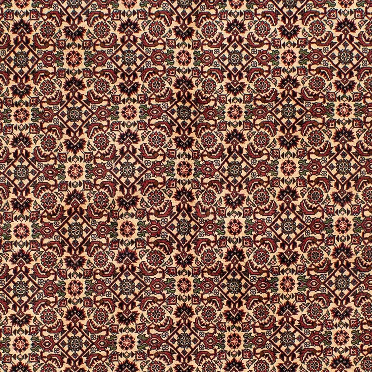 Tapis persan - Bidjar - 249 x 172 cm - marron