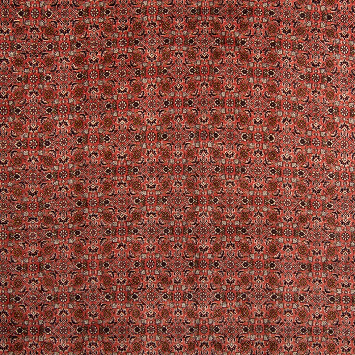 Tapis persan - Bidjar - 357 x 248 cm - rouge foncé