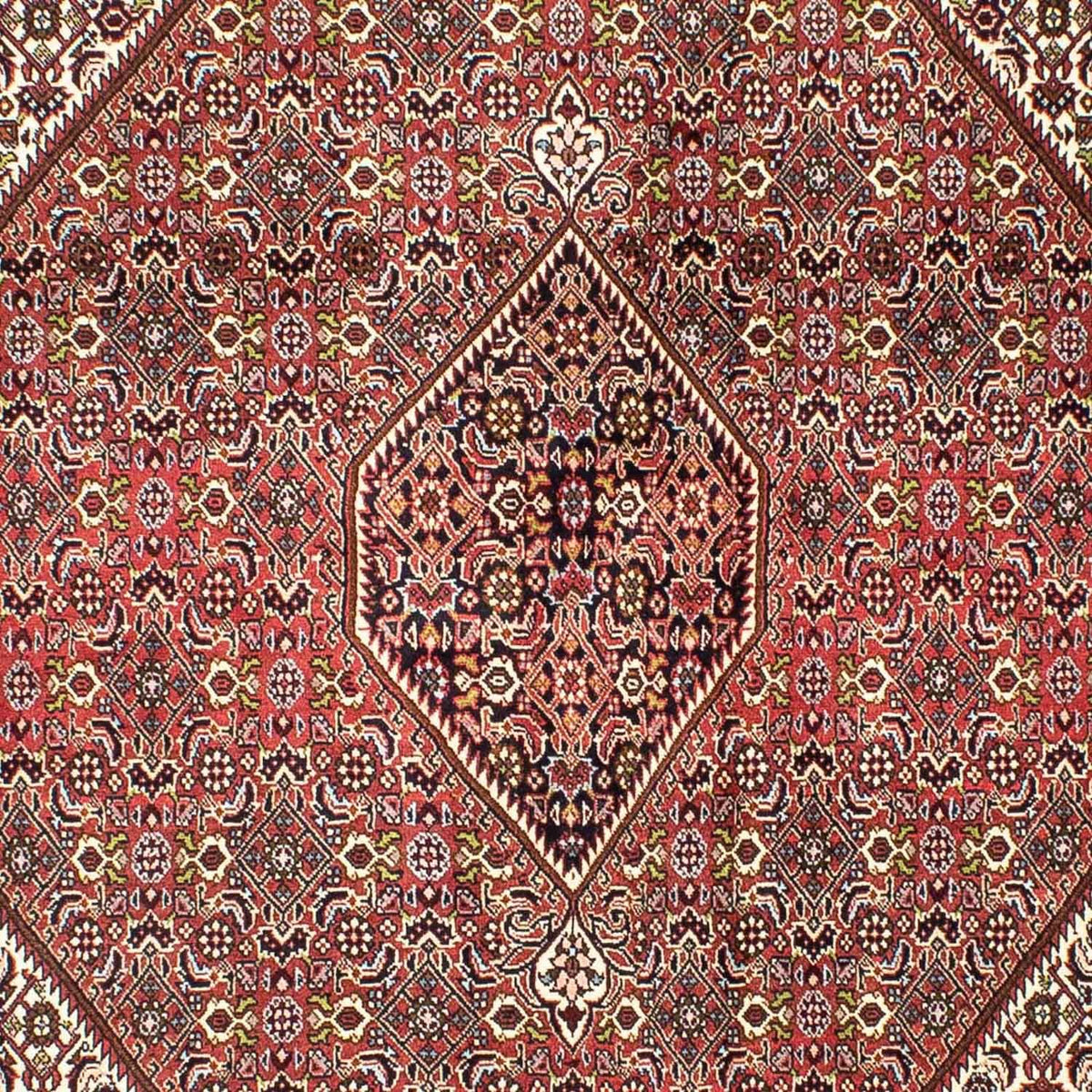 Tapis persan - Bidjar - 251 x 174 cm - rouge clair