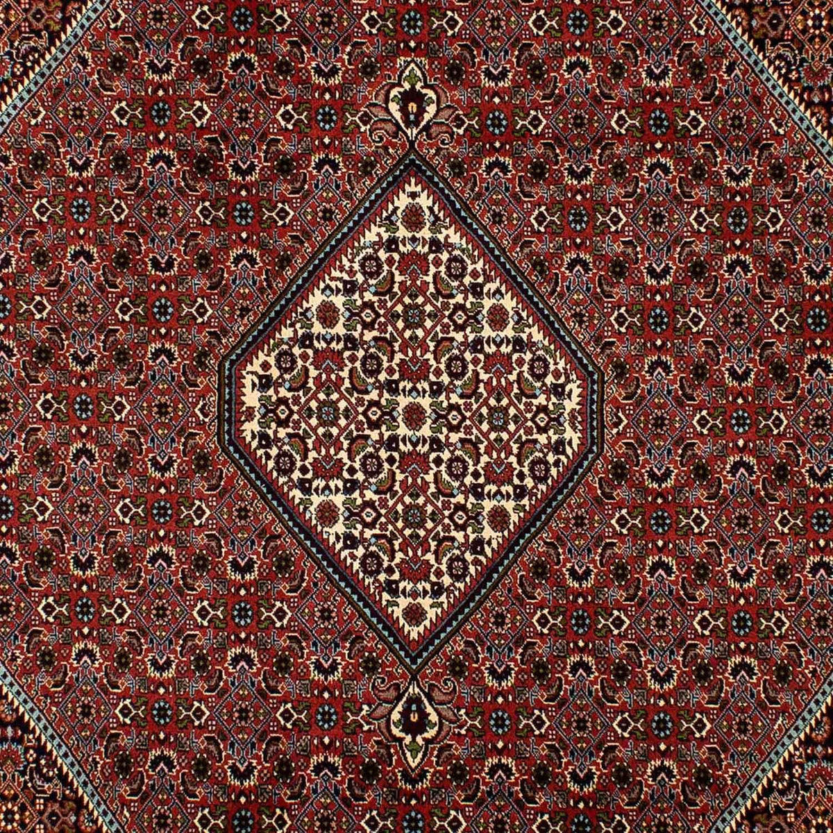Tapis persan - Bidjar - 300 x 202 cm - marron
