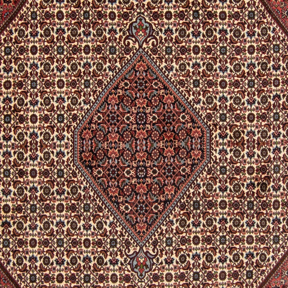 Tapis persan - Bidjar - 343 x 252 cm - rouge foncé