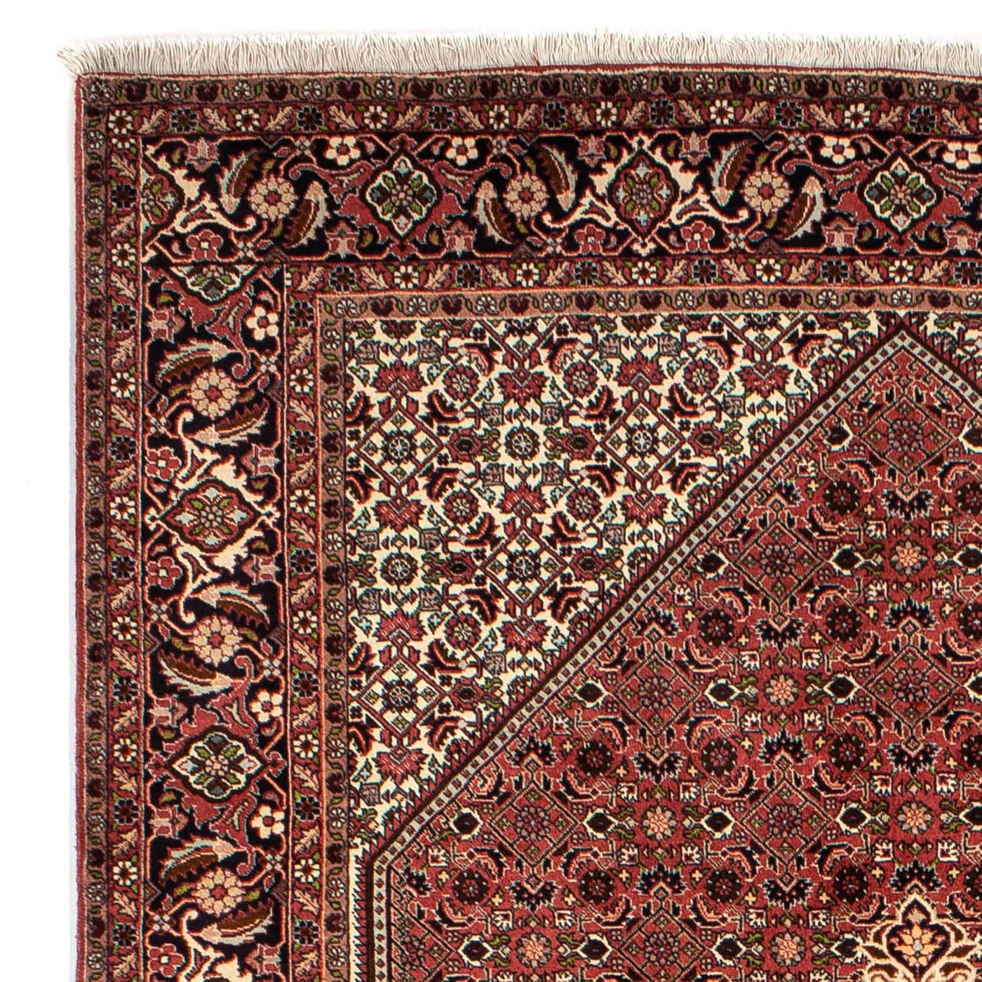 Tapis de Bidjar Tapis 296x198cm - Tapis persan