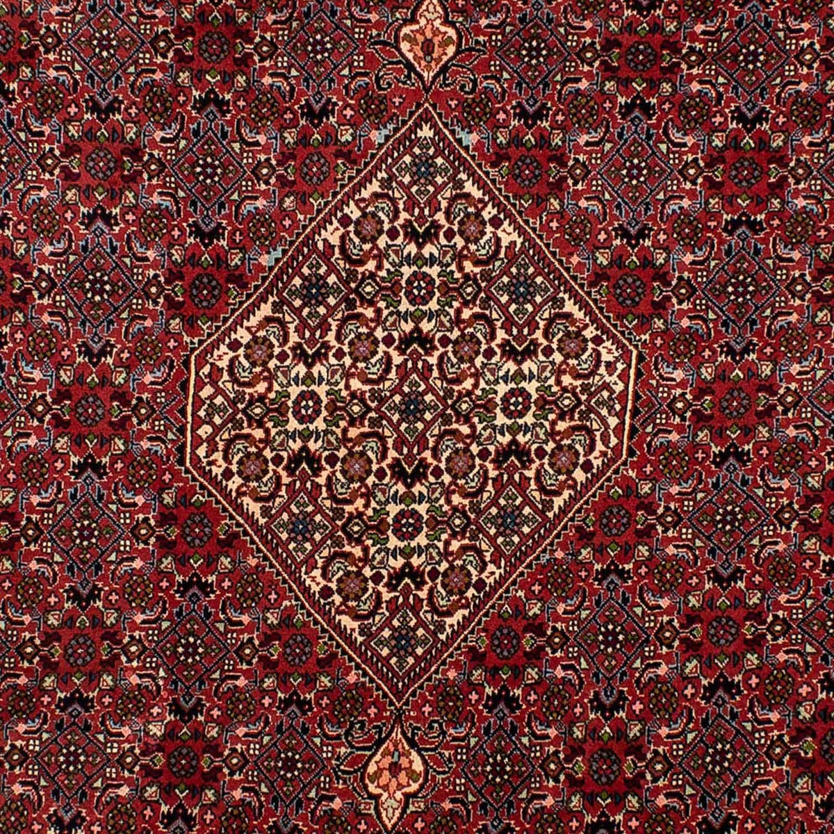 Tapis persan - Bidjar - 290 x 206 cm - rouge foncé