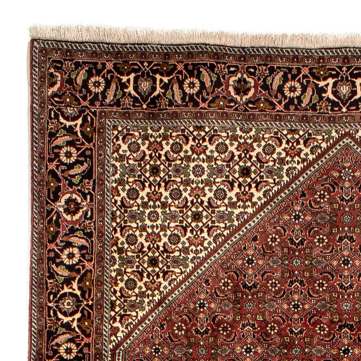 Tapis de Bidjar Tapis 197x300cm - Tapis persan