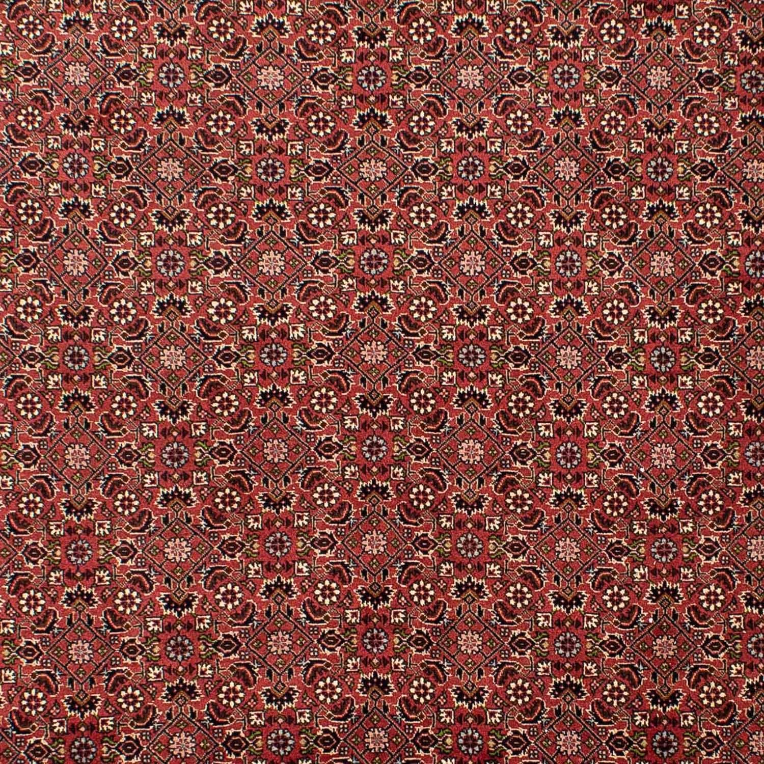 Tapis persan - Bidjar - 310 x 196 cm - rouge foncé