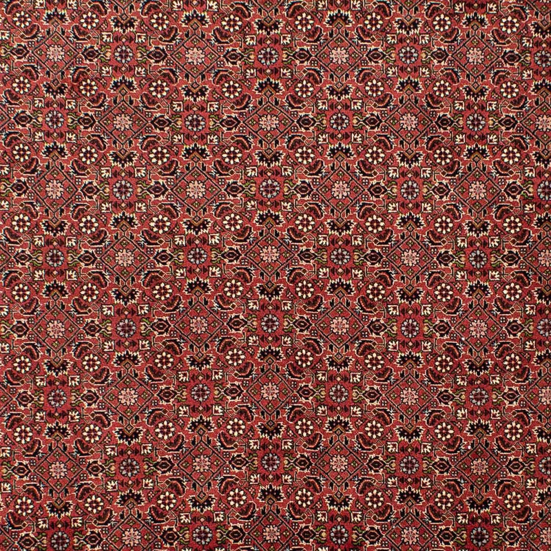 Tapis persan - Bidjar - 310 x 196 cm - rouge foncé