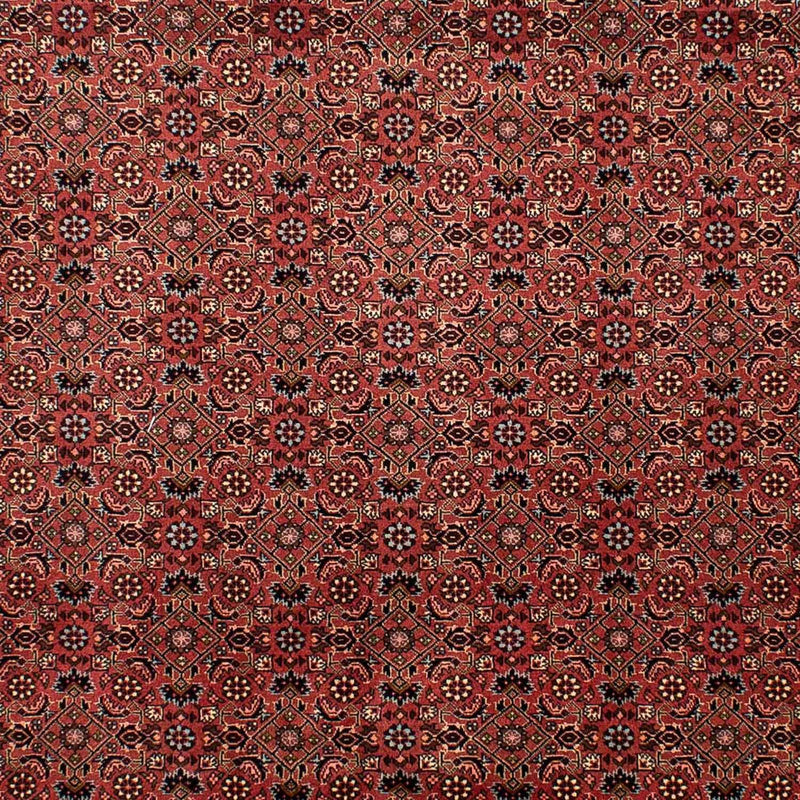 Tapis persan - Bidjar - 292 x 203 cm - rouge foncé