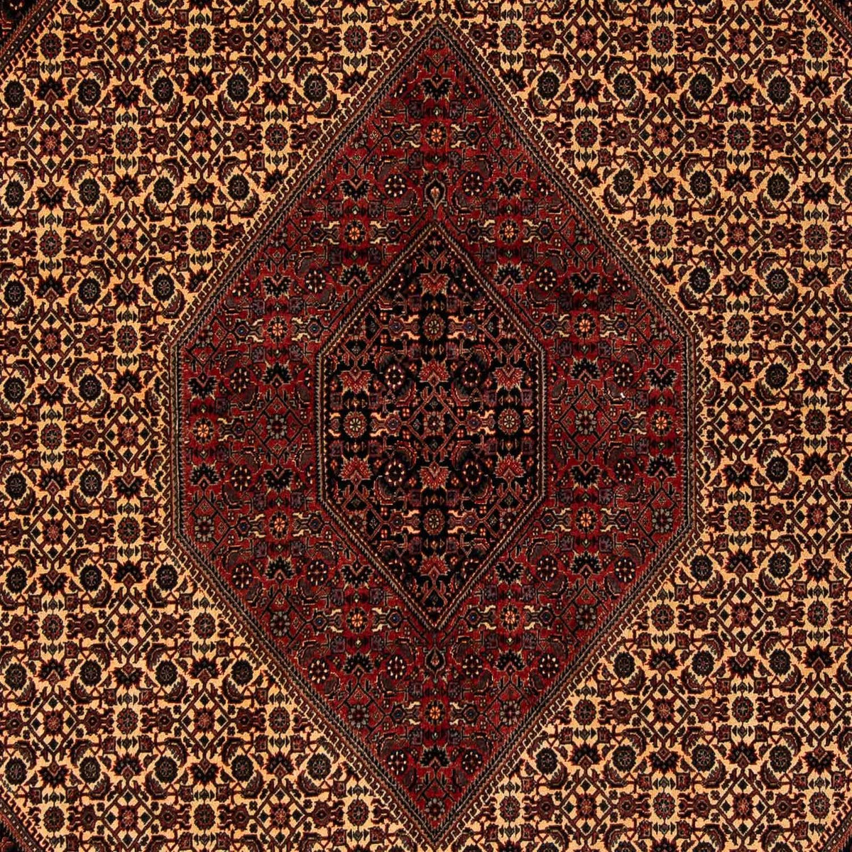 Tapis persan - Bidjar - 250 x 200 cm - rouge foncé
