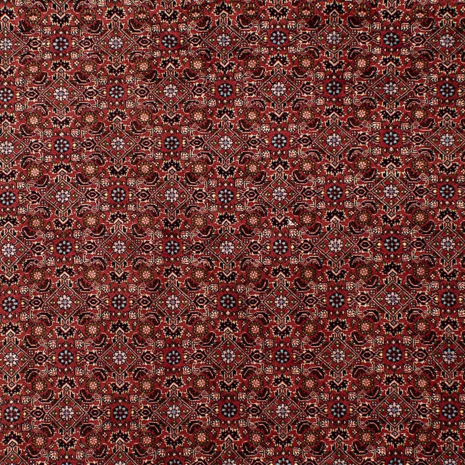 Tapis persan - Bidjar - 288 x 198 cm - rouge foncé