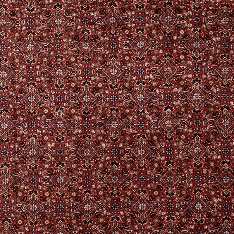 Tapis persan - Bidjar - 288 x 198 cm - rouge foncé