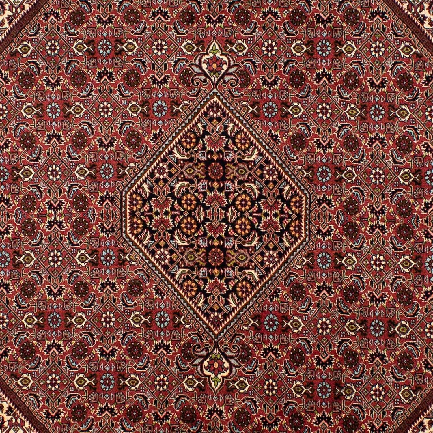 Tapis persan - Bidjar - 297 x 197 cm - marron