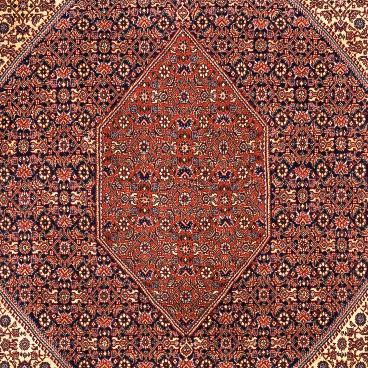 Tapis persan - Bidjar - 340 x 254 cm - rouge