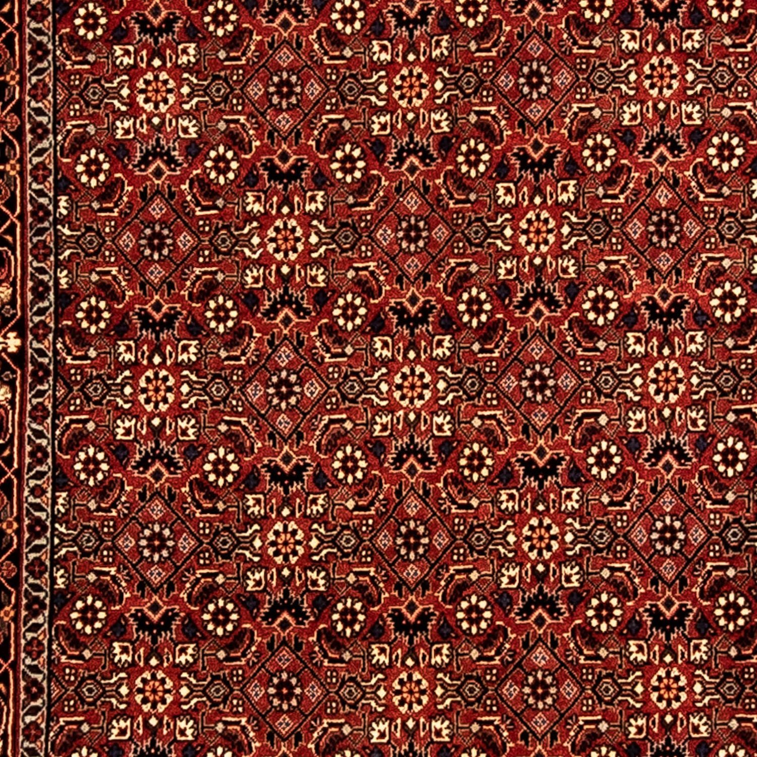 Tapis de couloir Tapis persan - Bidjar - 296 x 81 cm - multicolore