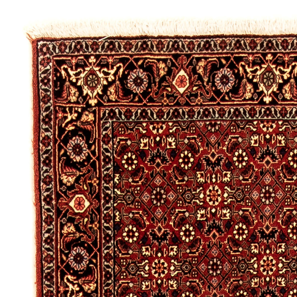 Tapis de couloir Tapis persan - Bidjar - 296 x 81 cm - multicolore