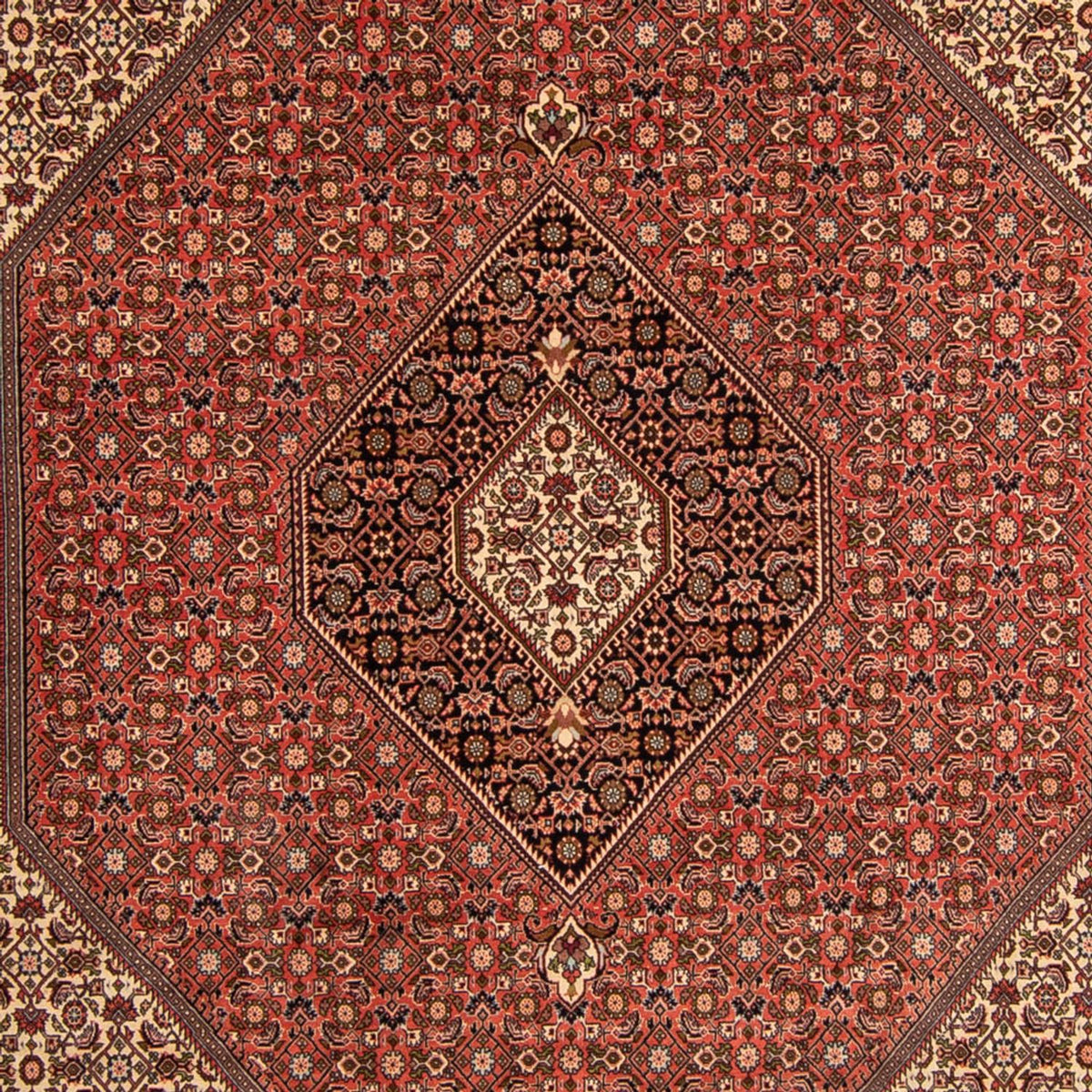 Tapis persan - Bidjar - 343 x 250 cm - marron