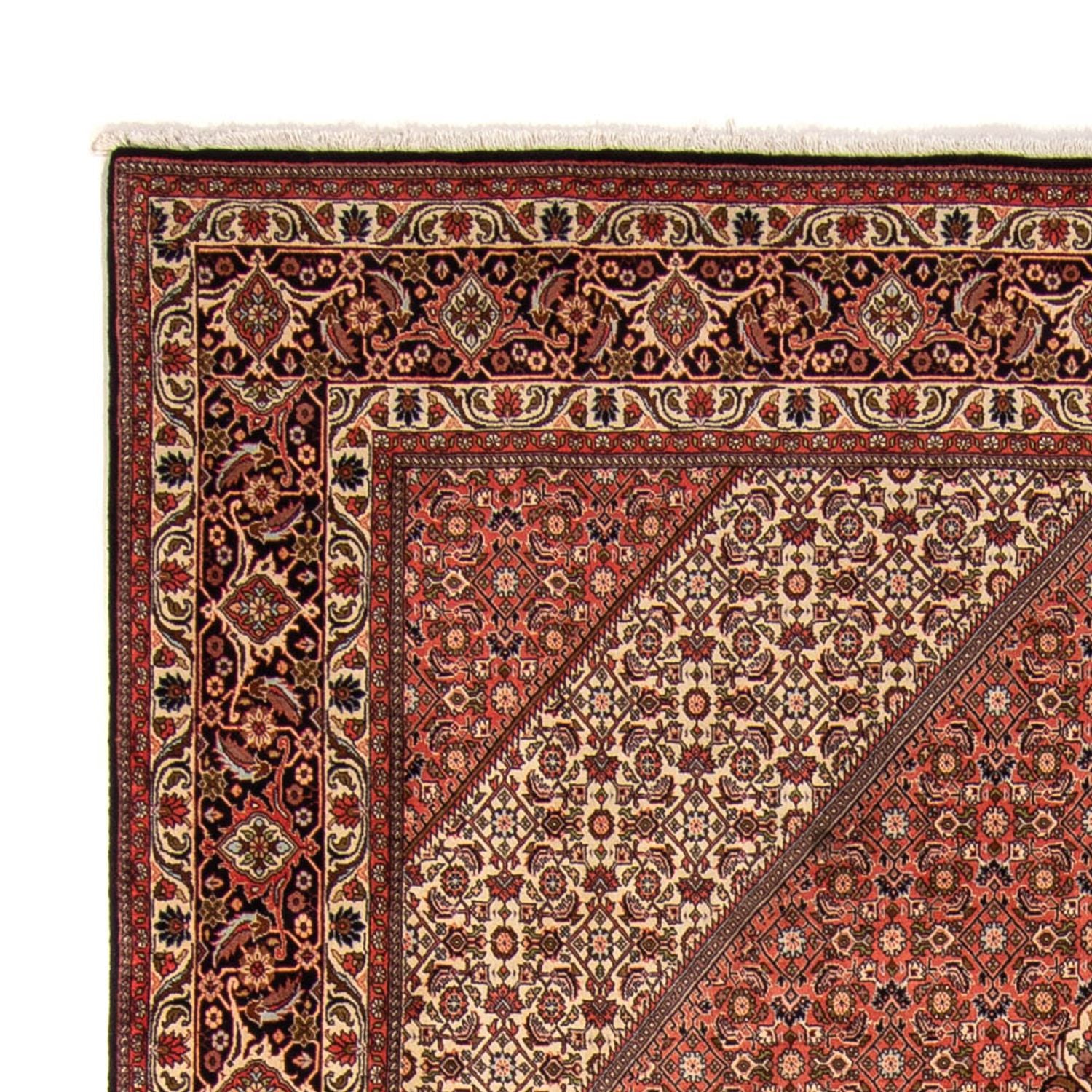 Tapis persan - Bidjar - 343 x 250 cm - marron