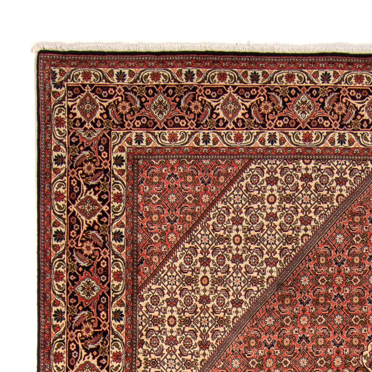 Tapis persan - Bidjar - 343 x 250 cm - marron