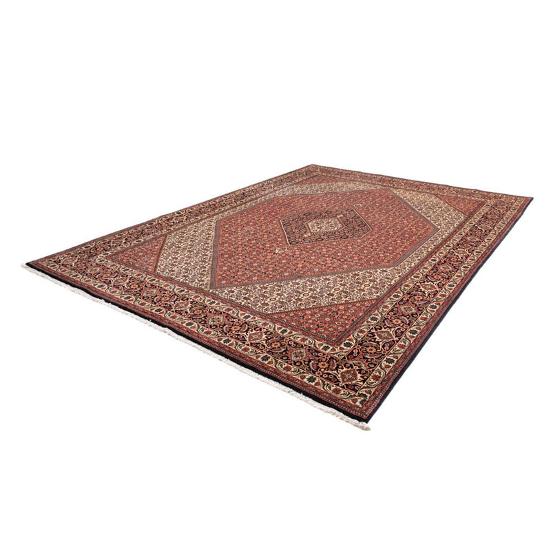 Tapis persan - Bidjar - 343 x 250 cm - marron