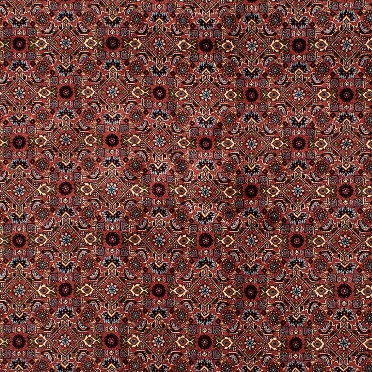 Tapis persan - Bidjar - 257 x 178 cm - rouge foncé