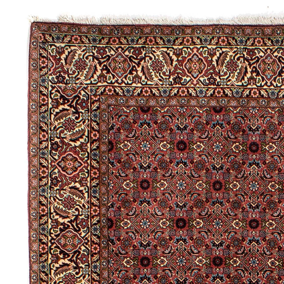 Tapis persan - Bidjar - 257 x 178 cm - rouge foncé