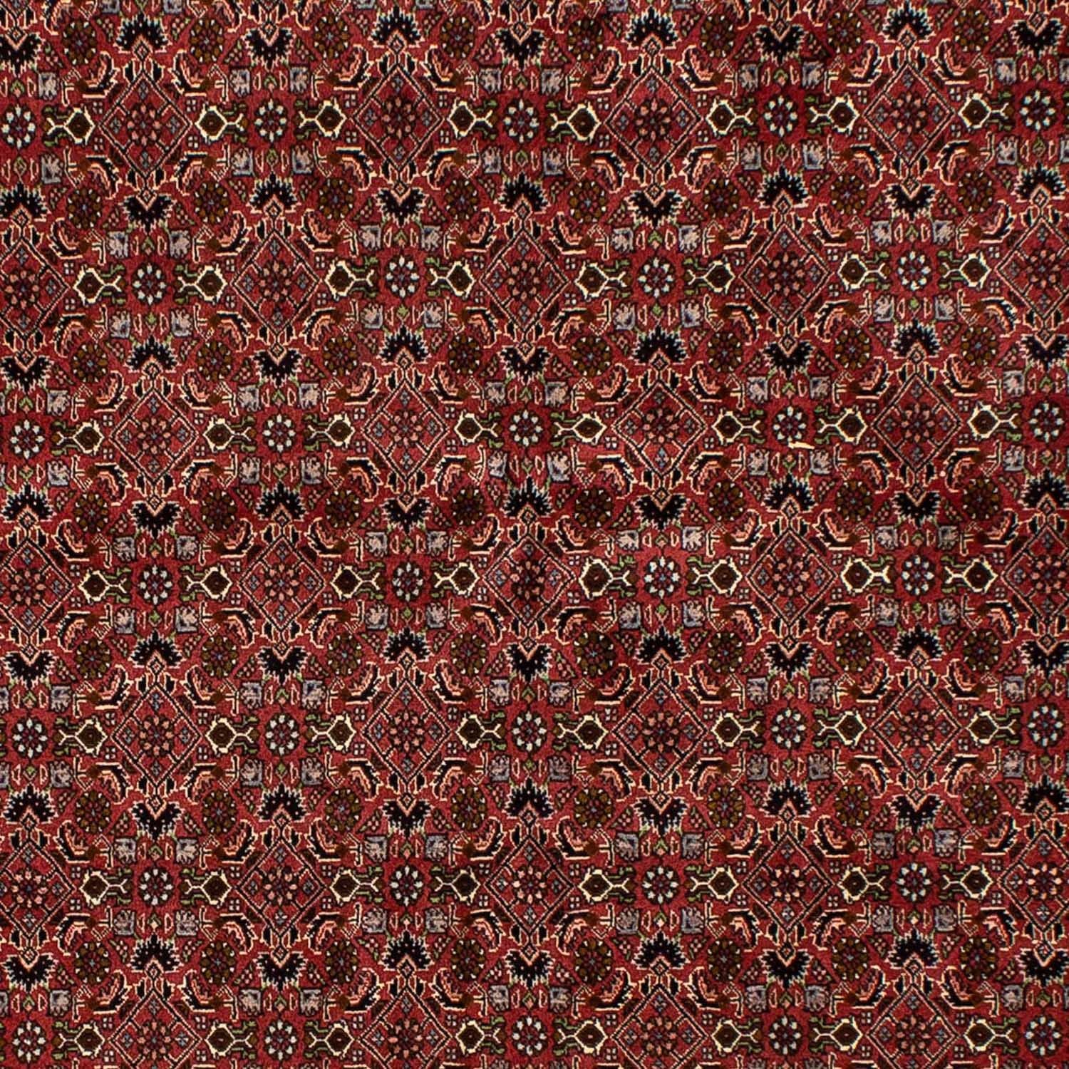 Tapis persan - Bidjar - 245 x 177 cm - rouge foncé