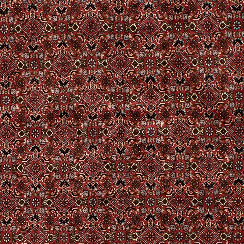 Tapis persan - Bidjar - 245 x 177 cm - rouge foncé
