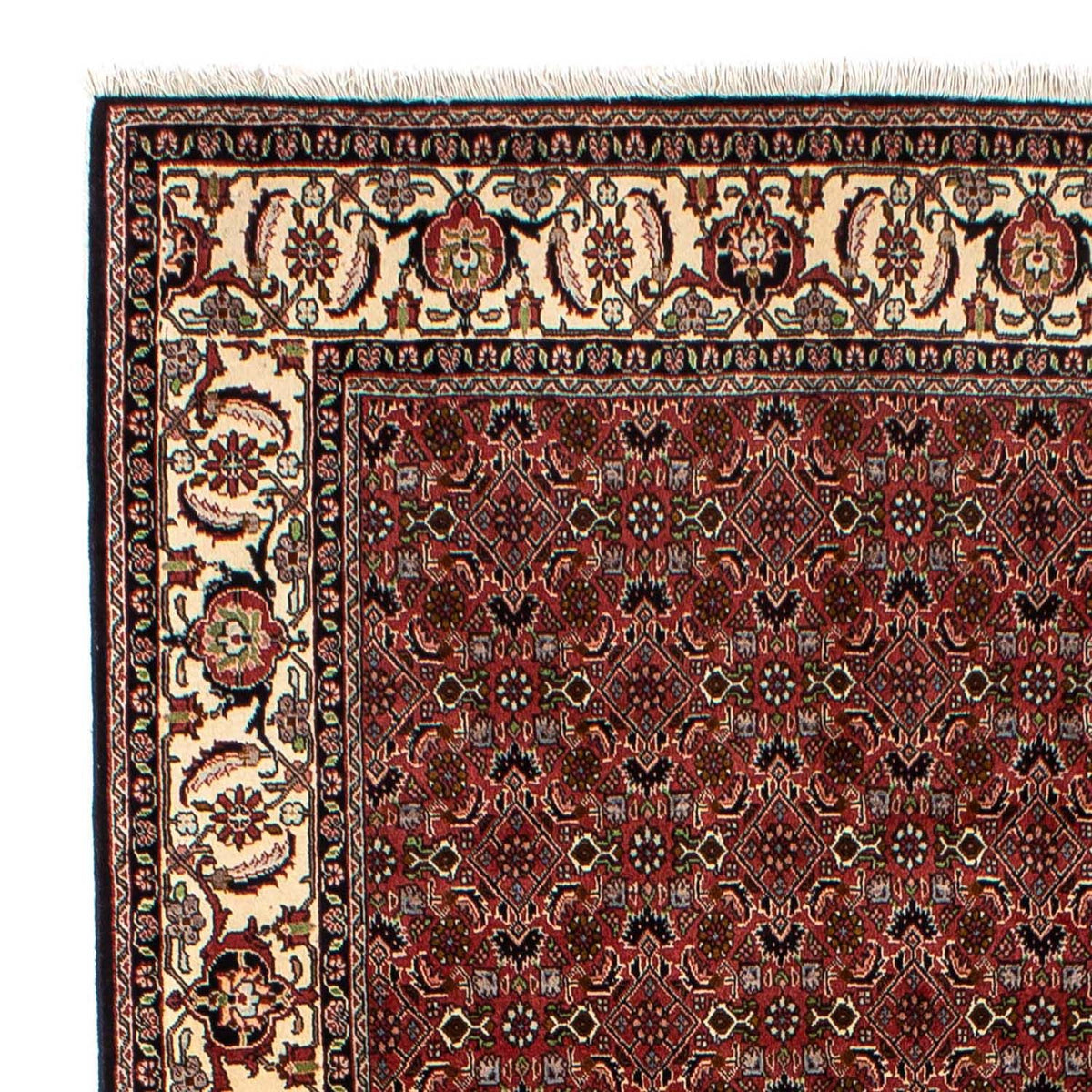 Tapis persan - Bidjar - 245 x 177 cm - rouge foncé