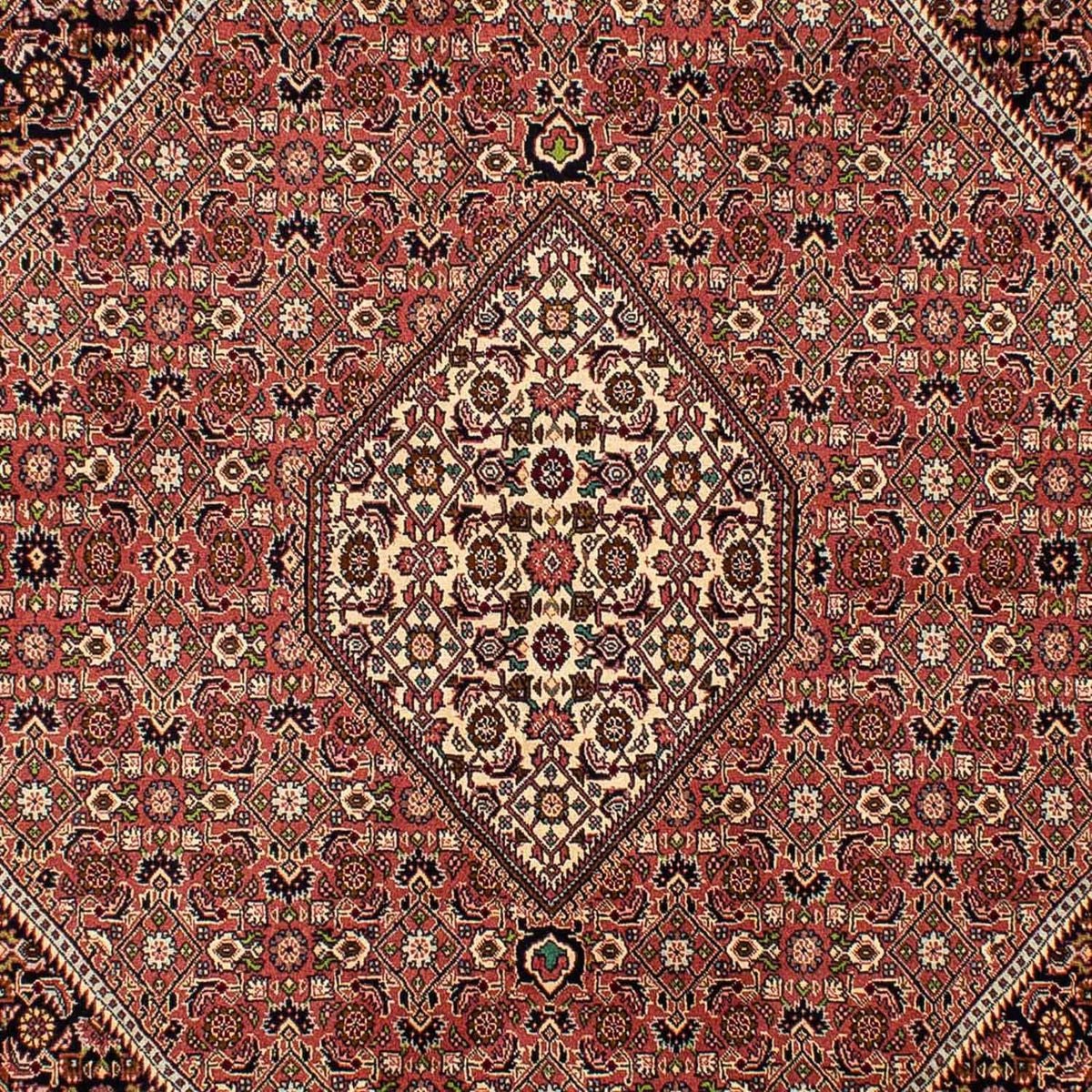 Tapis persan - Bidjar - 290 x 200 cm - rouge clair