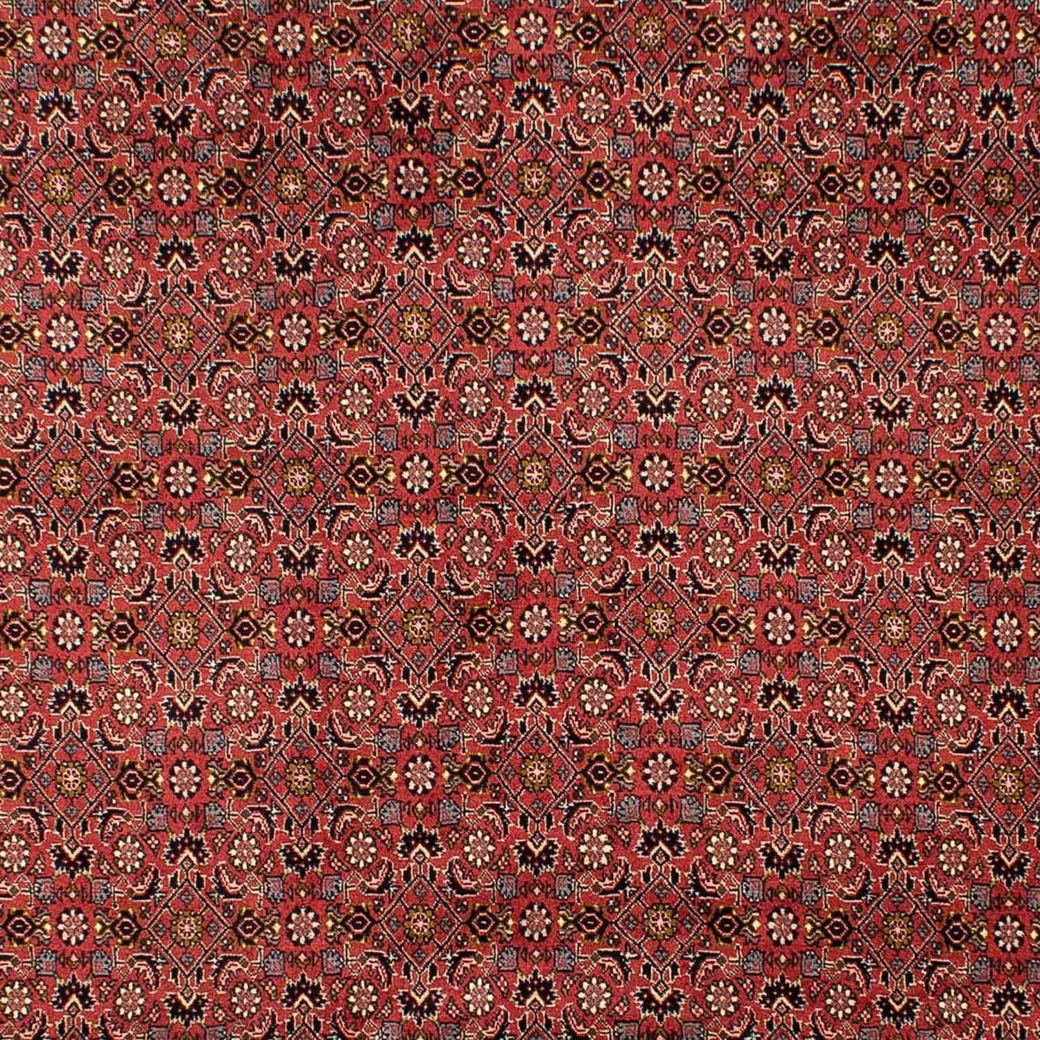 Tapis persan - Bidjar - 293 x 206 cm - rouge foncé
