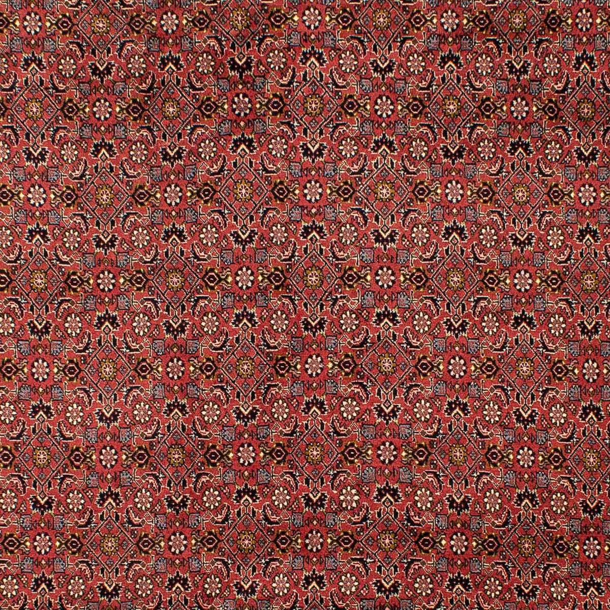 Tapis persan - Bidjar - 293 x 206 cm - rouge foncé