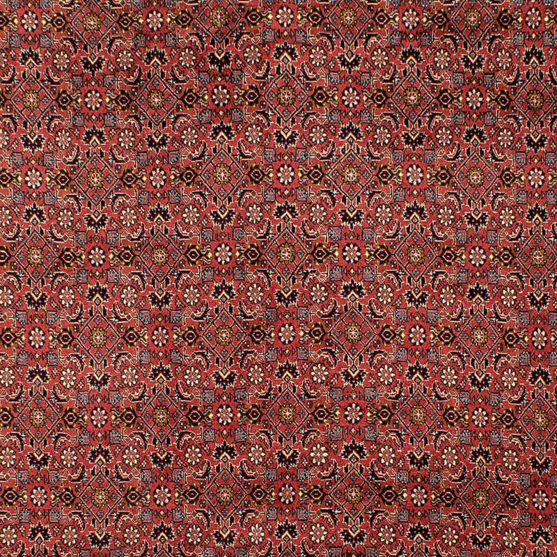 Tapis persan - Bidjar - 293 x 206 cm - rouge foncé