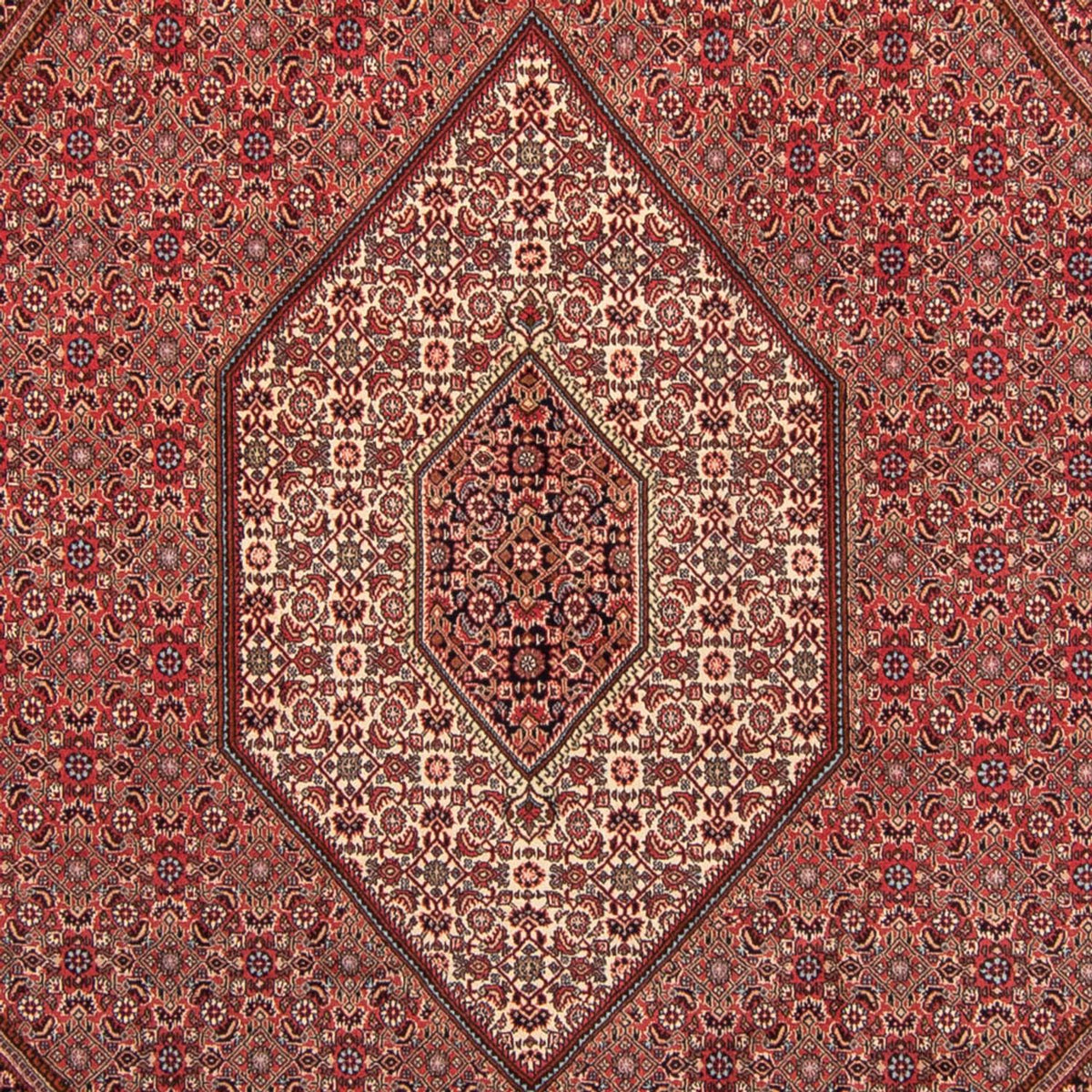 Tapis persan - Bidjar - 350 x 248 cm - rouge clair