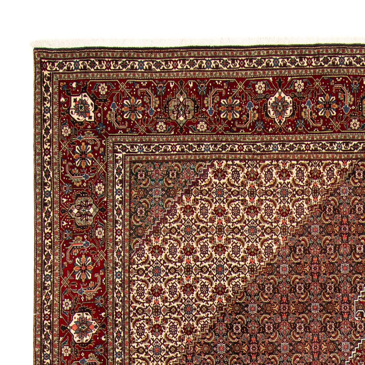 Tapis persan - Tabriz - 391 x 302 cm - multicolore