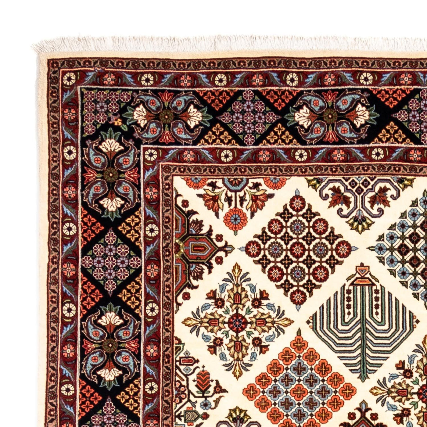 Bidjar - Takab Tapis 301x205cm - Tapis persan