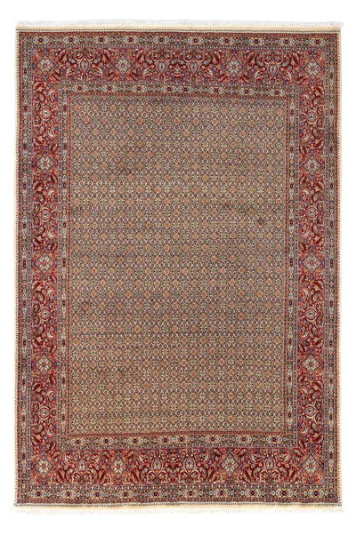 Tapis de Moud Tapis 238x346cm - Tapis persan