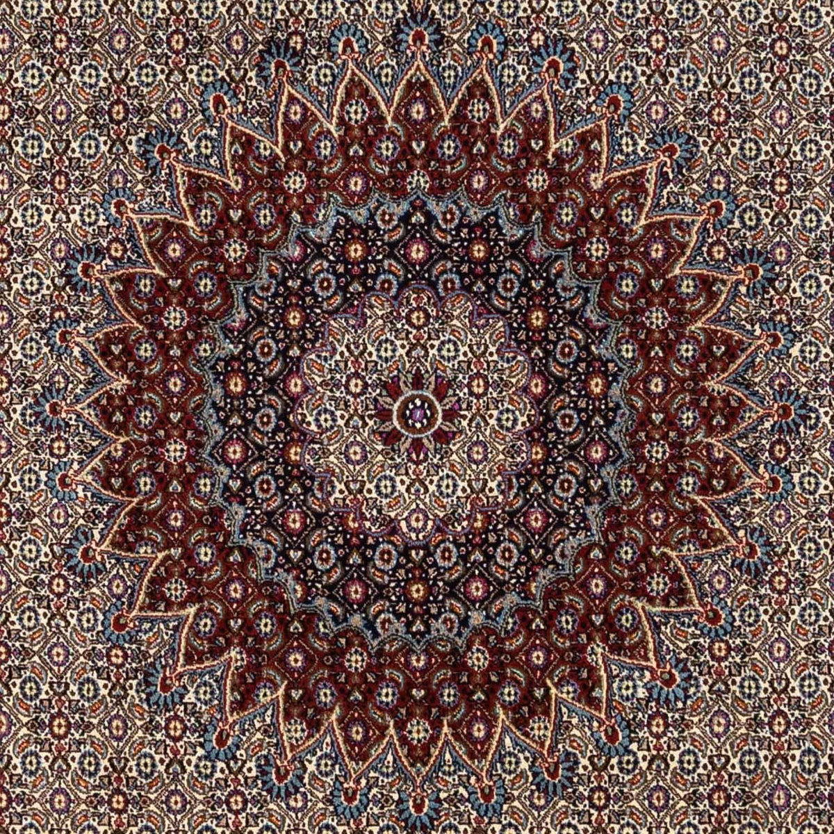 Tapis persan - Classique - 346 x 248 cm - beige