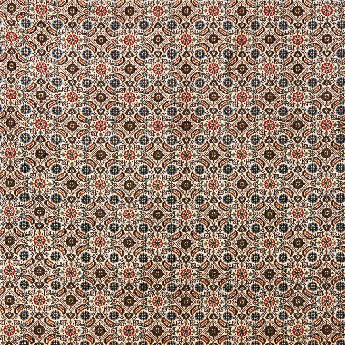 Tapis persan - Classique - 345 x 244 cm - beige