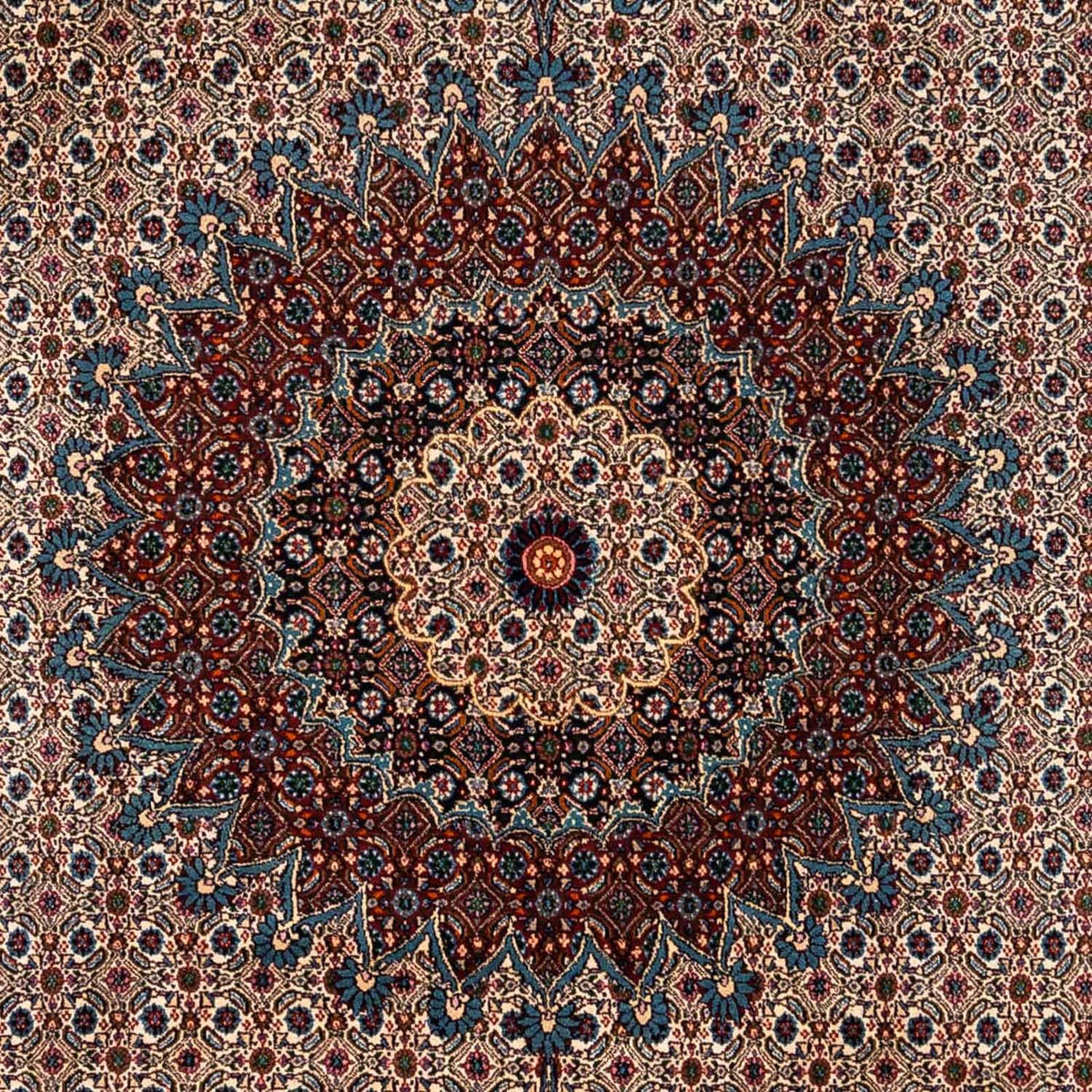 Tapis persan - Classique - 342 x 248 cm - marron clair