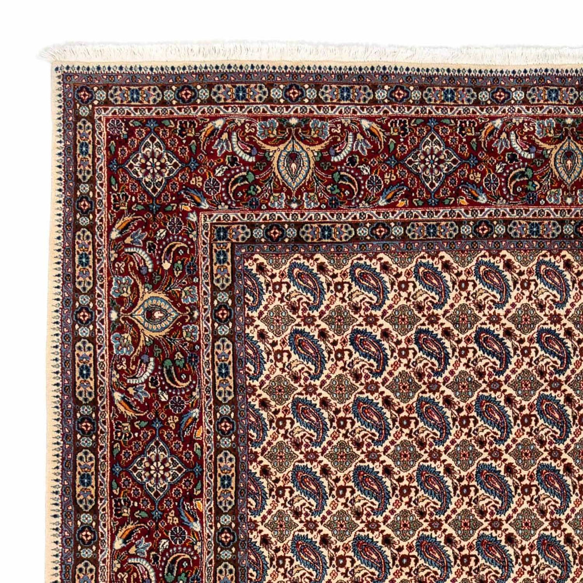 Tapis persan - Classique - 298 x 248 cm - beige